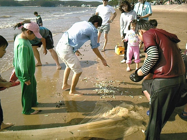 a0109537_4cb1c89161e8d.jpg?type=w966