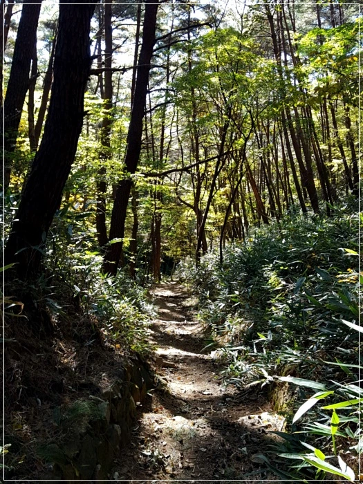 a0109537_5a001e7e2f87f.jpg?type=w966