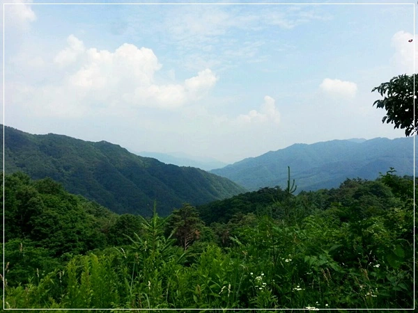 a0109537_51c7d6f356c45.jpg?type=w966