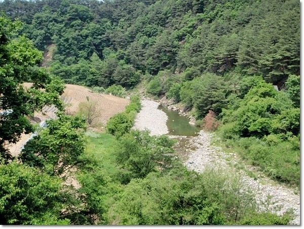 a0109537_4fc42f053bcaa.jpg?type=w966