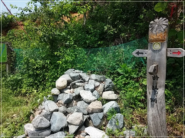 a0109537_574b012b8d5e2.jpg?type=w966