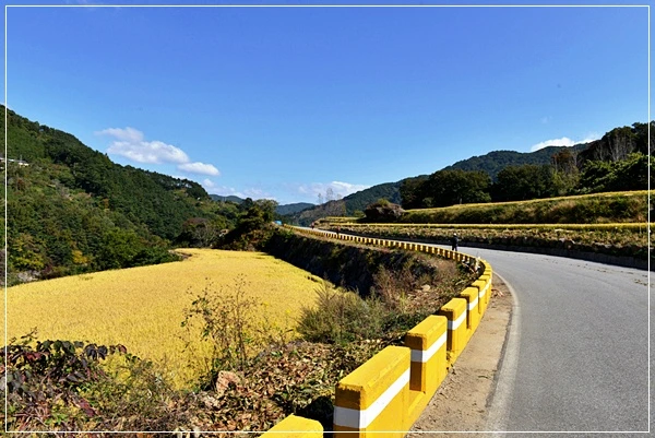 a0109537_526e673027b09.jpg?type=w966