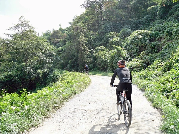 a0109537_4cb1c8588ab61.jpg?type=w966