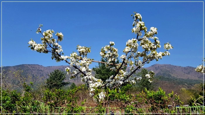 a0109537_58f616e284fdc.jpeg?type=w966