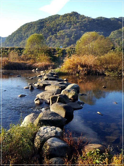 a0109537_5a0024415d221.jpg?type=w966