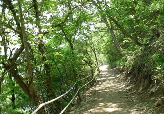 a0109537_4bf7a513e6ffc.jpg?type=w966