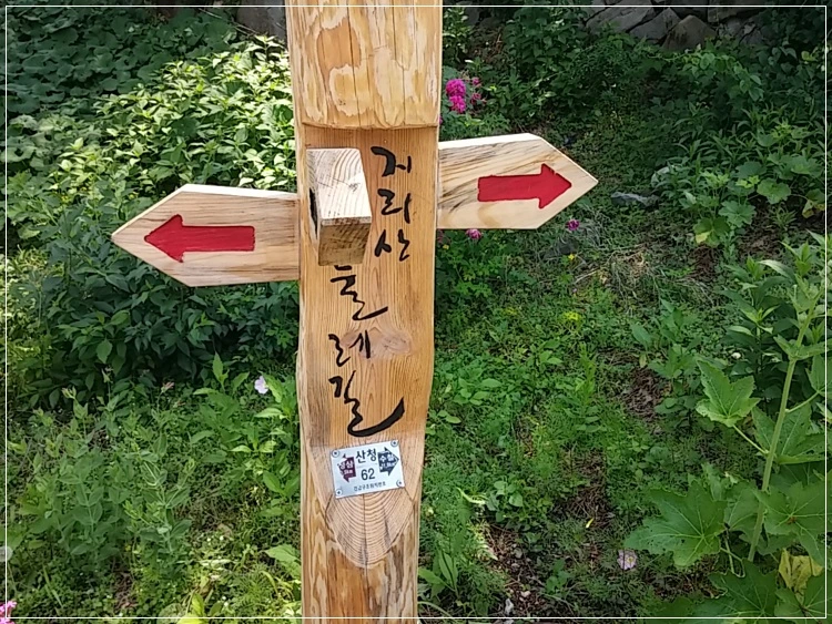 a0109537_574c409bf0005.jpg?type=w966