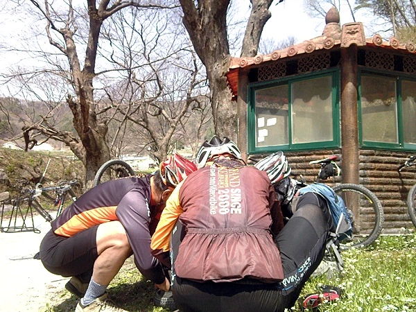 a0109537_4be38e780cf4e.jpg?type=w966