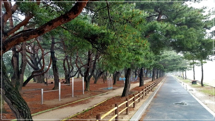 a0109537_58f75d369bfc5.jpeg?type=w966