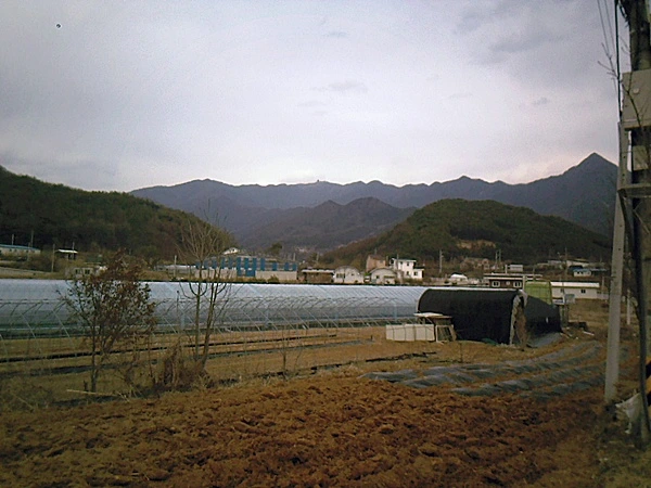 a0109537_4d90171216dca.jpg?type=w966