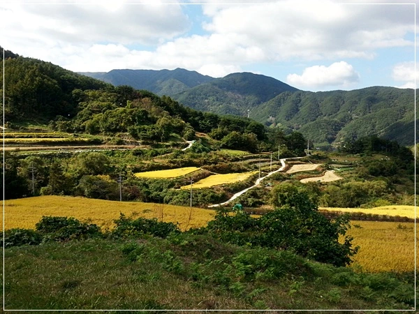 a0109537_526e6740bbf48.jpg?type=w966