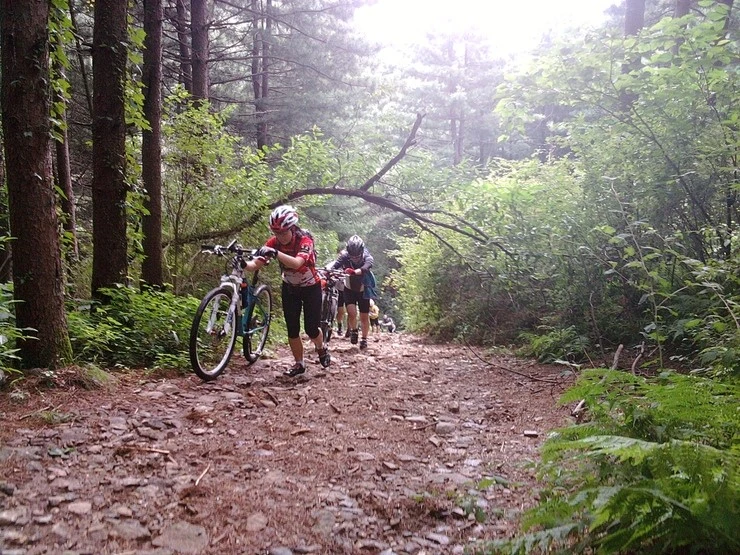 a0109537_4e3e838a906b5.jpg?type=w966