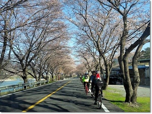 a0109537_4f81937e77b0e.jpg?type=w966