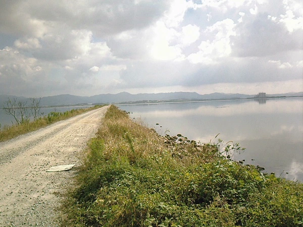 a0109537_4cb1c6a28fe29.jpg?type=w966