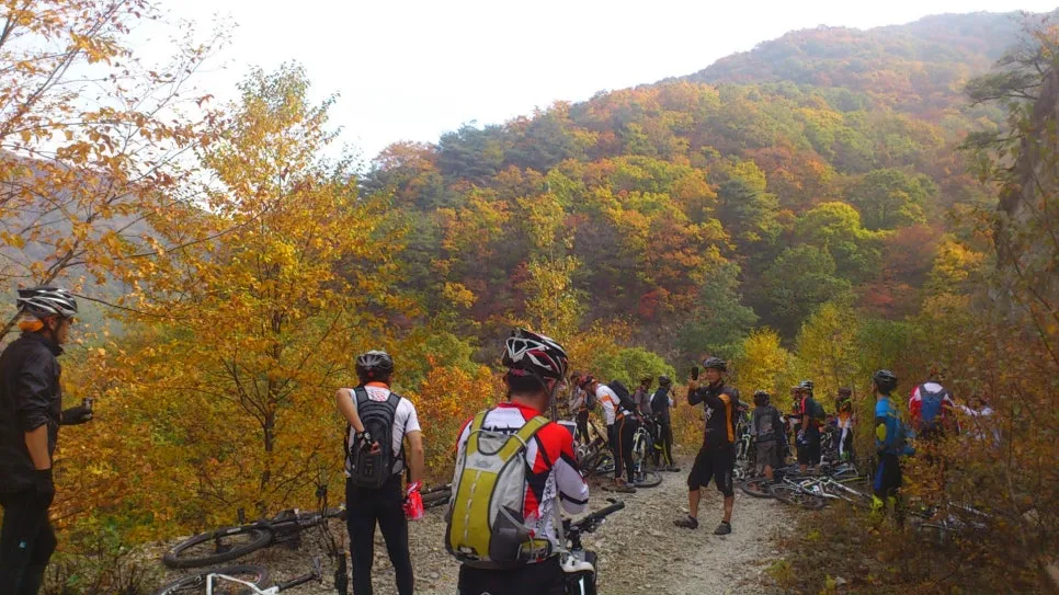 a0109537_54450287d80dd.jpg?type=w966