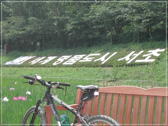 a0109537_4987942ef0a39.jpg?type=w966