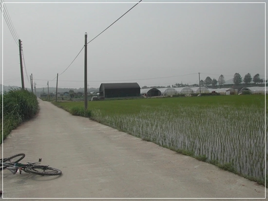 a0109537_4987942fe70d6.jpg?type=w966