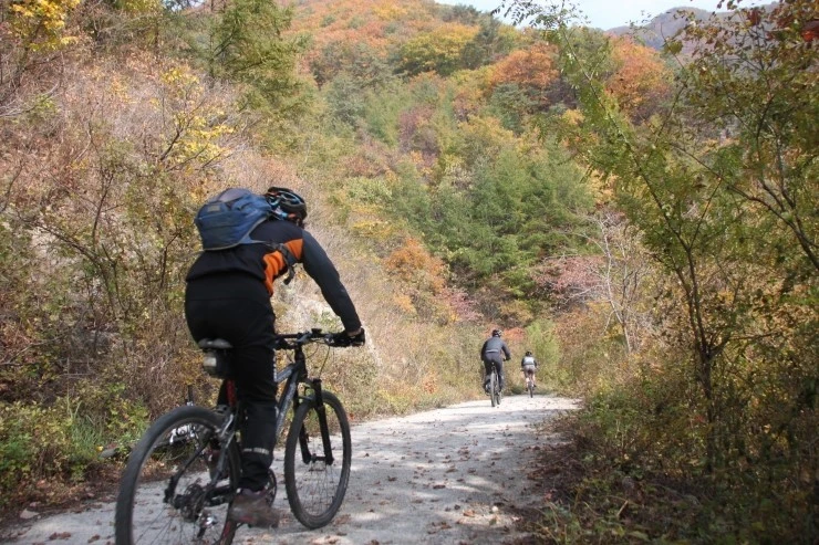 a0109537_5445e73474934.jpg?type=w966