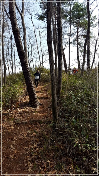 a0109537_5ad5f0066456f.jpg?type=w966