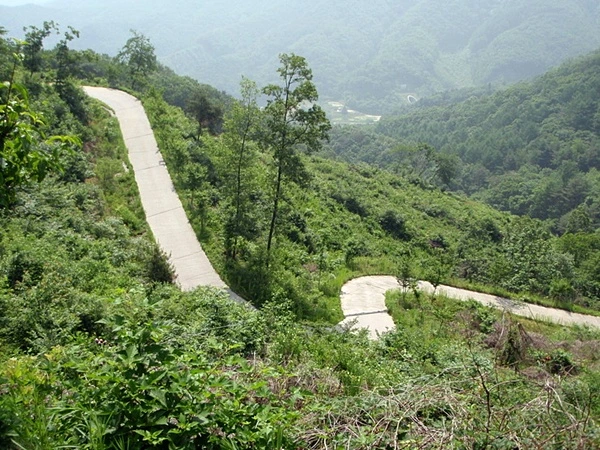 a0109537_4decd07b1cdc4.jpg?type=w966