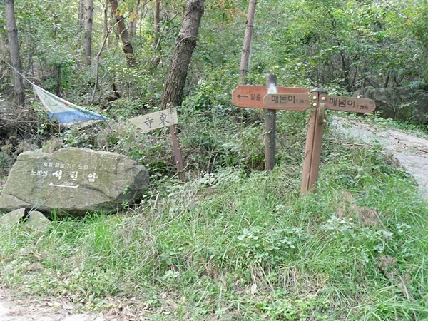 a0109537_4cb1c70fbc336.jpg?type=w966