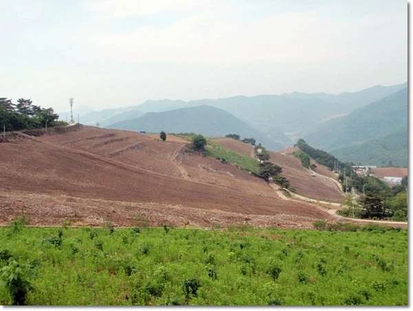 a0109537_4fc431f1e97a3.jpg?type=w966