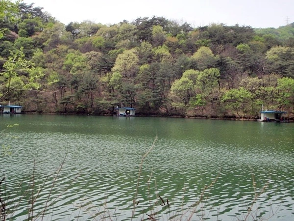 a0109537_4f9e356e795c3.jpg?type=w966