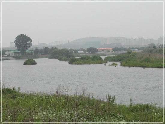 a0109537_498794310468c.jpg?type=w966