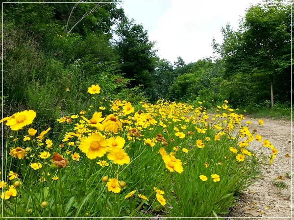 a0109537_51c7d6b2bbf3a.jpg?type=w966