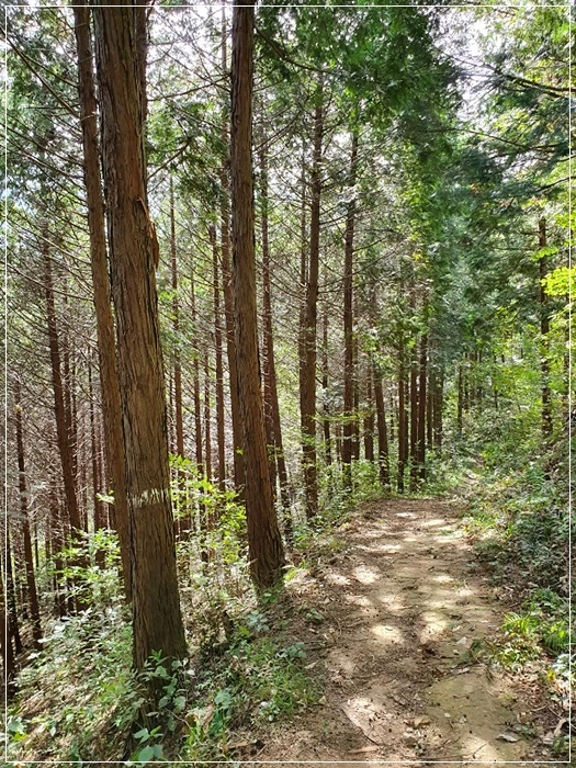 a0109537_5da9c6884eff8.jpg?type=w966