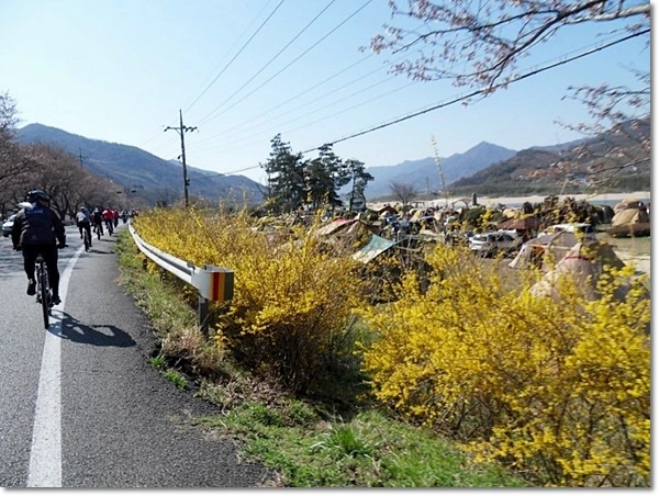 a0109537_4f818a0856e61.jpg?type=w966