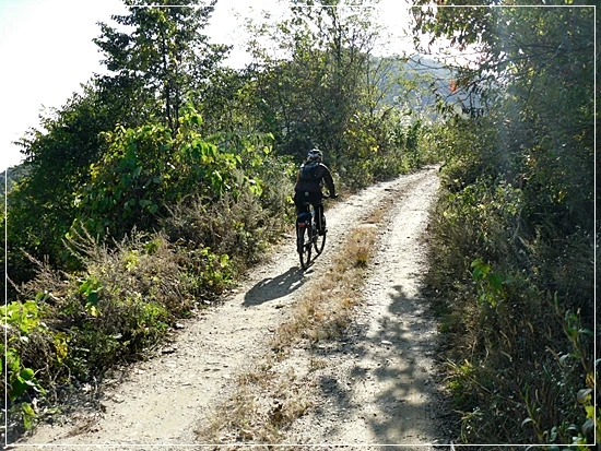 a0109537_4add34df84a53.jpg?type=w966