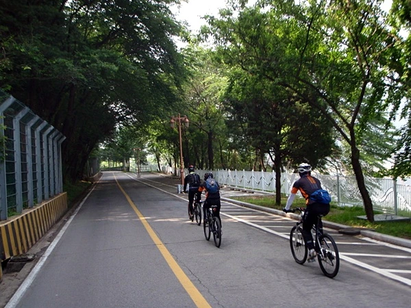 a0109537_4df0bb5dde31e.jpg?type=w966