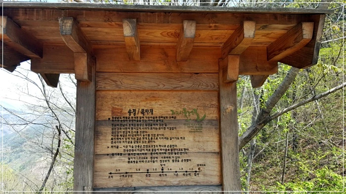 a0109537_5ad5f17ba8984.jpg?type=w966