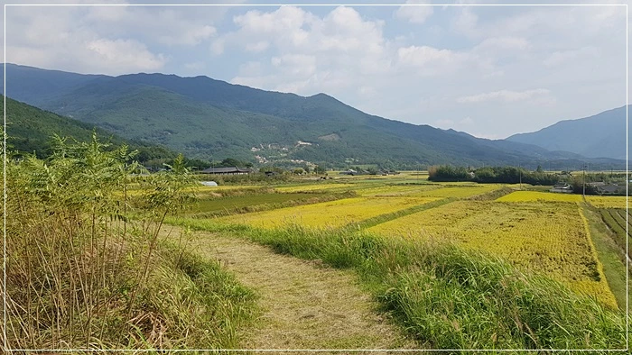 a0109537_5da8757cdeb6b.jpg?type=w966