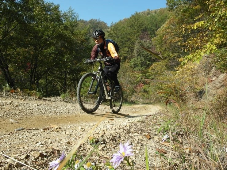 a0109537_5083f2a92415f.jpg?type=w966