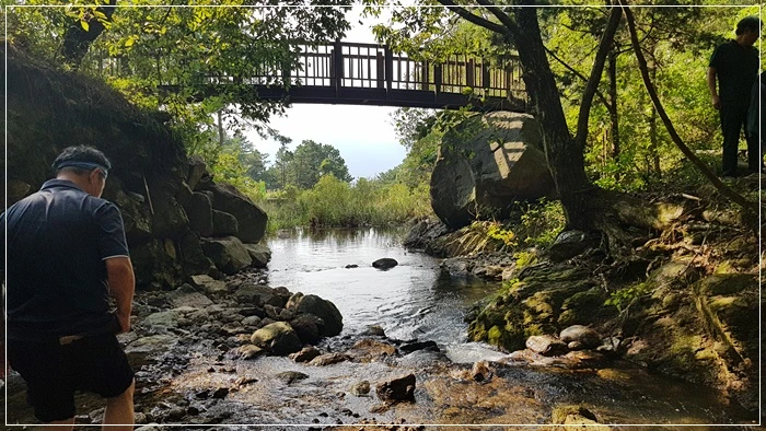 a0109537_5da877e389442.jpg?type=w966