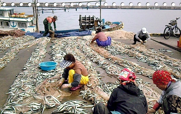 a0109537_4ae67c7f98eee.jpg?type=w966