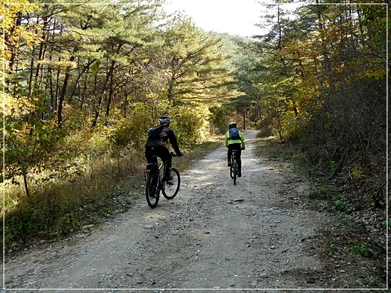 a0109537_4add340dad469.jpg?type=w966