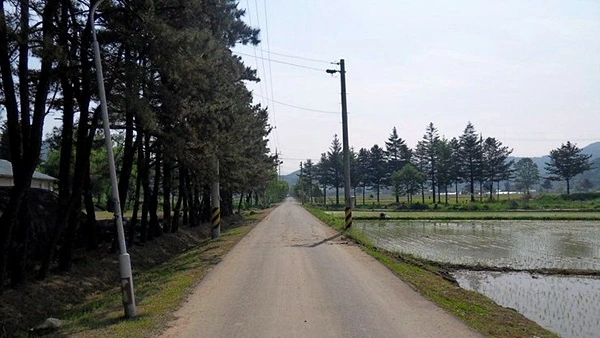 a0109537_4de21b586d70f.jpg?type=w966