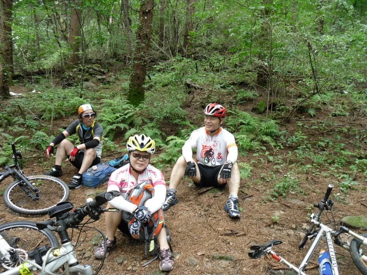 a0109537_4e3e8312d174d.jpg?type=w966