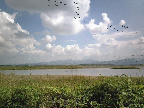 a0109537_4cb1c6c5c5b9a.jpg?type=w966