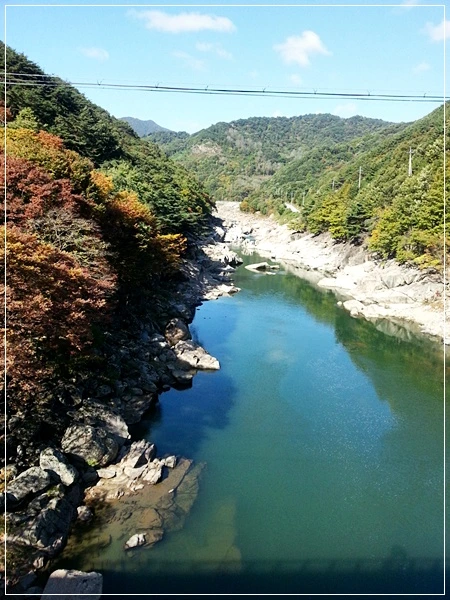 a0109537_526e6724433e4.jpg?type=w966