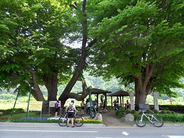 a0109537_4de21b668f95c.jpg?type=w966