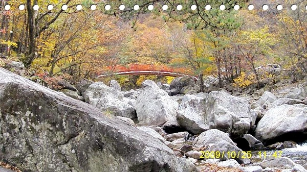 a0109537_4ae67d5bebf3a.jpg?type=w966