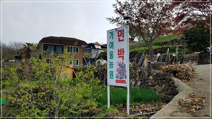 a0109537_5ad49c49e1bf1.jpg?type=w966