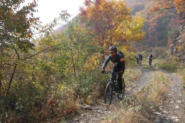 a0109537_5445e7243d5dd.jpg?type=w966