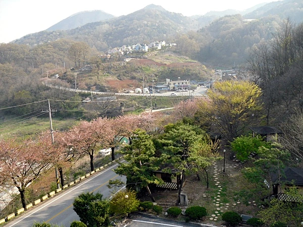 a0109537_4bdfcf45d30ad.jpg?type=w966