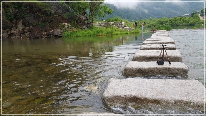 a0109537_60be23830ef71.jpg?type=w966