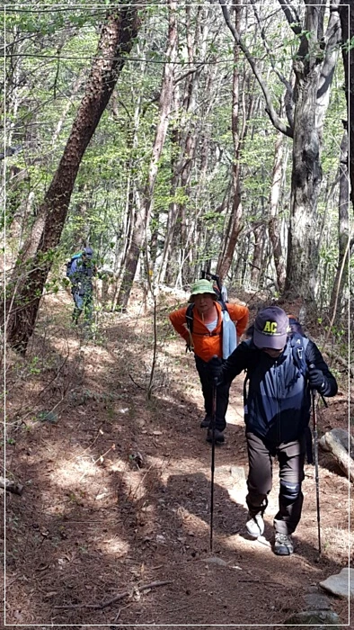 a0109537_5ad5f96e2101d.jpg?type=w966